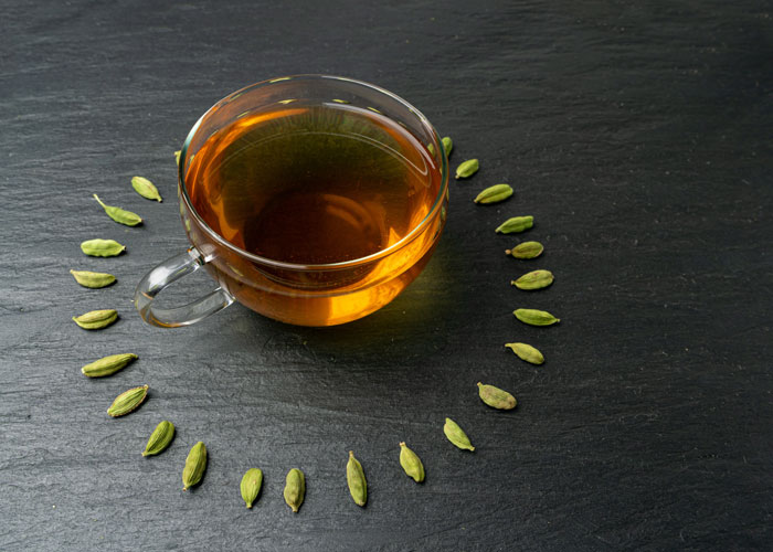 gas-pipeline oleo certamo